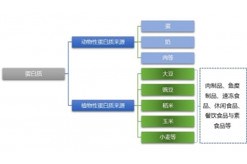 2025年拉絲蛋白市場(chǎng)發(fā)展概況和趨勢(shì)、行業(yè)主要玩家