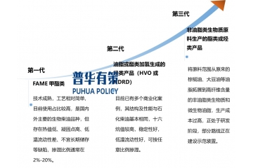 展望2025年生物柴油行業(yè)發(fā)展歷程，前景及玩家